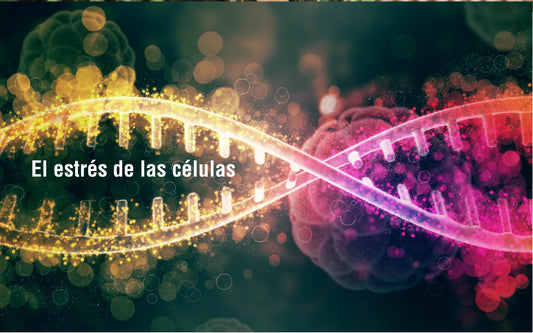 ¿Qué es el estrés oxidativo?