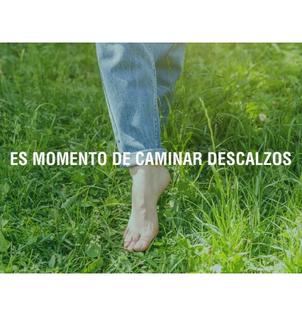 Guía completa sobre el grounding